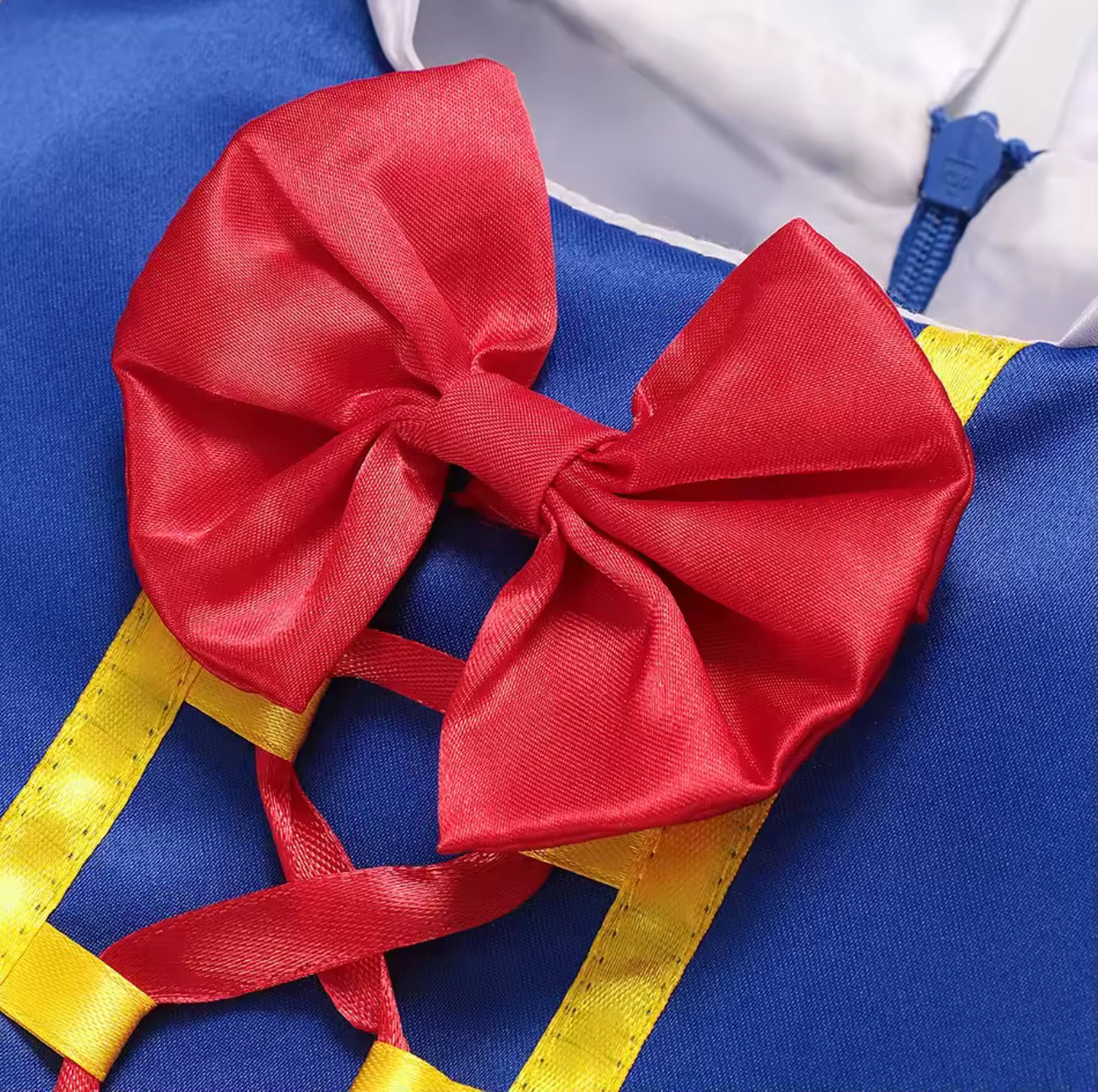 Fairy Tale Princess Costume