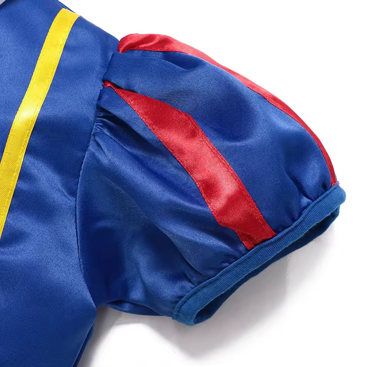 Fairy Tale Princess Costume